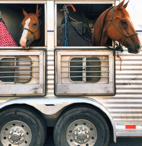 Hayvan Taşıma Treylerleri